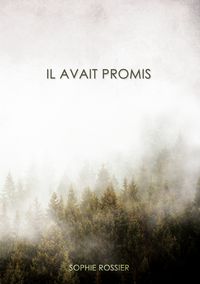 Produktbild: Il avait promis