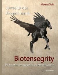 Bild vom Artikel Jenseits der Biomechanik - Biotensegrity vom Autor Maren Diehl