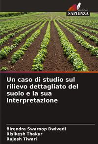 Produktbild: Un caso di studio sul rilievo dettagliato del suolo e la sua interpretazione
