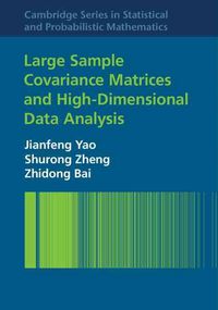 Produktbild: Large Sample Covariance Matric