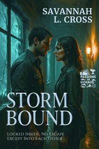 Produktbild: Stormbound