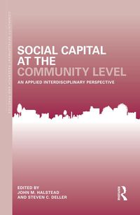 Produktbild: Social Capital at the Community Level