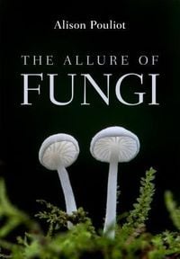 Produktbild: The Allure of Fungi