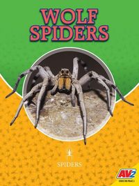 Produktbild: Wolf Spiders