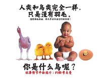 Produktbild: 人类和鸟类完全一样，只是没有羽毛。