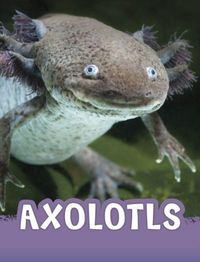 Produktbild: Axolotls