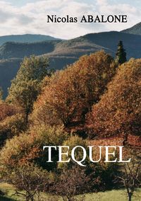 Produktbild: Tequel
