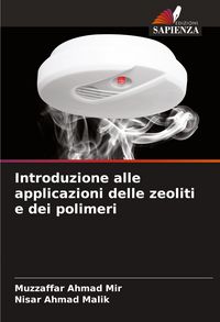 Produktbild: Introduzione alle applicazioni delle zeoliti e dei polimeri