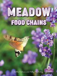 Produktbild: Meadow Food Chains
