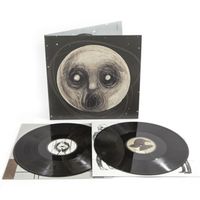 Produktbild: The Raven That Refused To Sing (Gtf Black 2LP)