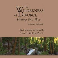 Produktbild: The Wilderness of Divorce