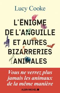 Produktbild: L'&eacute;nigme de l'anguille : et autres bizarreries animales