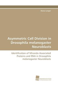 Produktbild: Asymmetric Cell Division in Drosophila melanogaster Neuroblasts