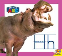 Produktbild: Hh