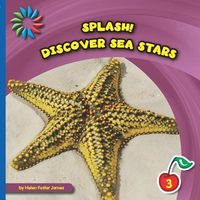 Produktbild: Discover Sea Stars