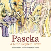Produktbild: Paseka