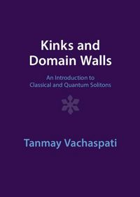 Produktbild: Kinks and Domain Walls