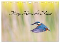 Produktbild: Magie Heimische Natur (Wandkalender 2026 DIN A4 quer), CALVENDO Monatskalender