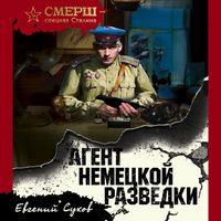 Produktbild: Agent nemeckoy razvedki