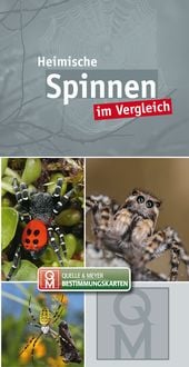 Produktbild: Heimische Spinnen