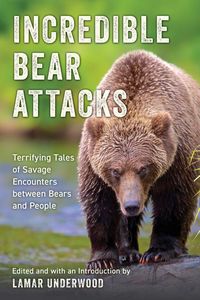 Produktbild: Incredible Bear Attacks