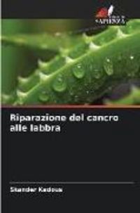 Produktbild: Riparazione del cancro alle labbra