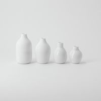 Produktbild: Mini Flaschenvasen 4er Set, wei&szlig;