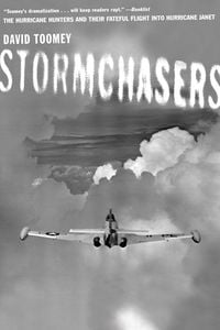 Produktbild: Stormchasers