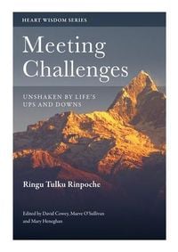 Produktbild: Meeting Challenges