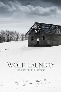 Produktbild: Wolf Laundry