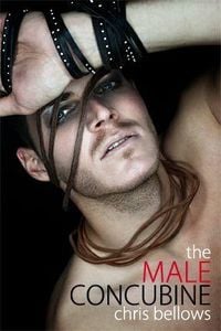 Produktbild: The Male Concubine