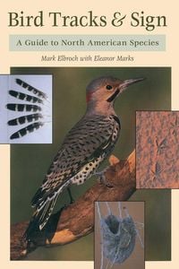 Produktbild: Bird Tracks & Sign