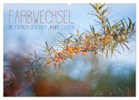 Produktbild: Farbwechsel - Die Farben der vier Jahreszeiten (Wandkalender 2026 DIN A2 quer), CALVENDO Monatskalender