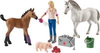 Produktbild: schleich&reg; 42486 Arztbesuch bei Stute und Fohlen