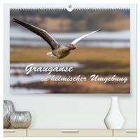 Produktbild: Graug&auml;nse in heimischer Umgebung (hochwertiger Premium Wandkalender 2026 DIN A2 quer), Kunstdruck in Hochglanz