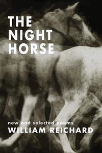 Produktbild: The Night Horse