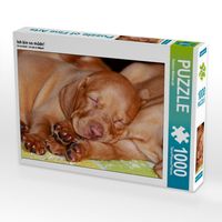 Produktbild: CALVENDO Puzzle Ich bin so m&uuml;de! | 1000 Teile Lege-Gr&ouml;&szlig;e 64x48cm Foto-Puzzle f&uuml;r gl&uuml;ckliche Stunden