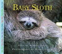 Produktbild: Baby Sloth