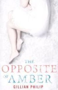 Produktbild: The Opposite of Amber