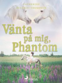 Produktbild: V&auml;nta p&aring; mig, Phantom