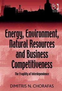 Produktbild: Chorafas, D: Energy, Environment, Natural Resources and Busi