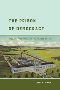 Produktbild: Benson, S: Prison of Democracy