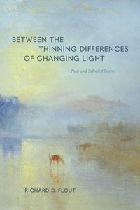 Produktbild: Between the Thinning Differences of Changing Light
