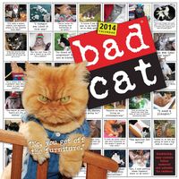Produktbild: Bad Cat Wall Calendar 2014