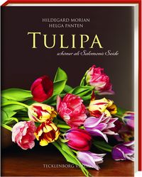 Produktbild: Tulipa