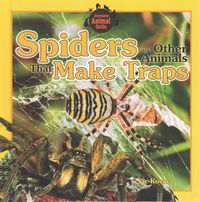 Produktbild: Spiders & Other Animals That M