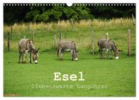 Produktbild: Esel - liebenswerte Langohren (Wandkalender 2026 DIN A3 quer), CALVENDO Monatskalender