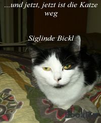 Produktbild: Und jetzt jetzt ist die Katze weg