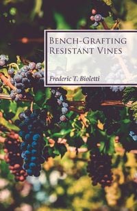 Produktbild: Bench-Grafting Resistant Vines