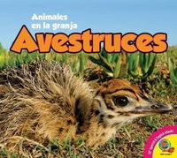 Produktbild: Avestruces